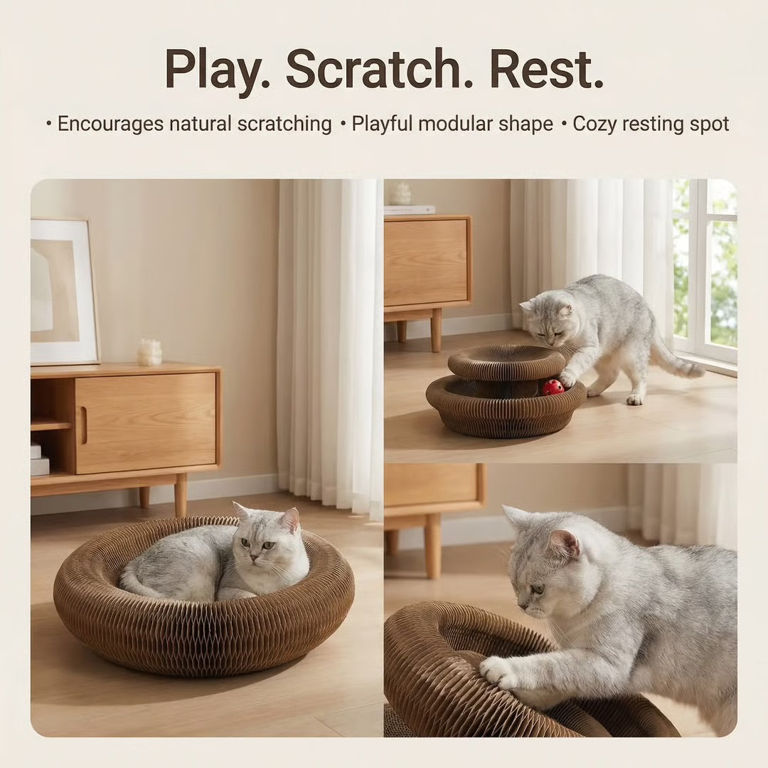 Magic Organ Cat scratching Board | Pet Heaven Lux